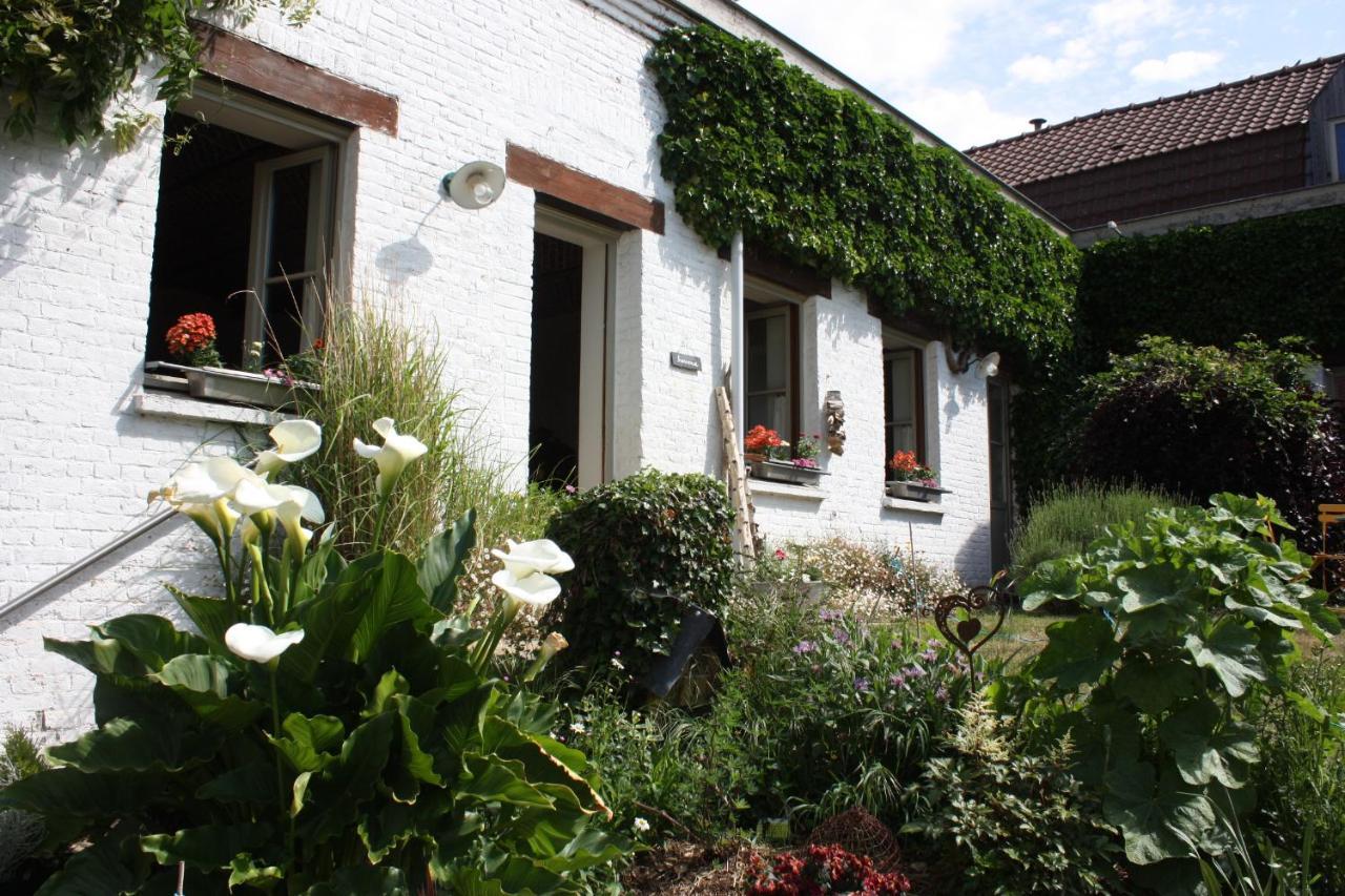 Bed and Breakfast L'Atterrissage Santes Экстерьер фото
